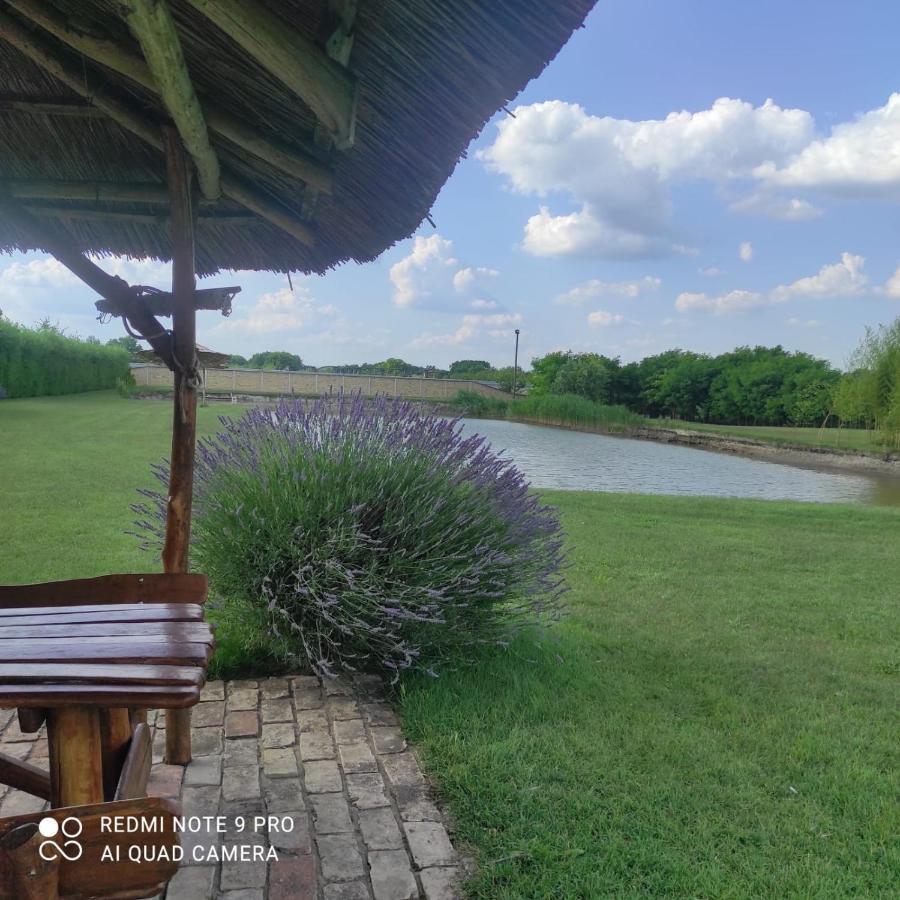Jezero Palic