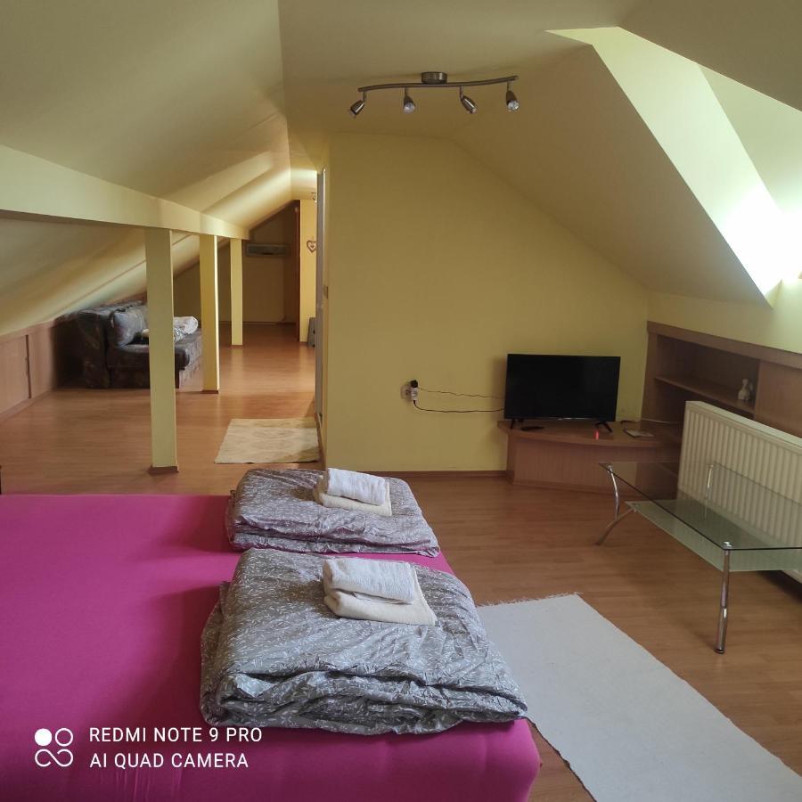 Jezero Apartment Palic