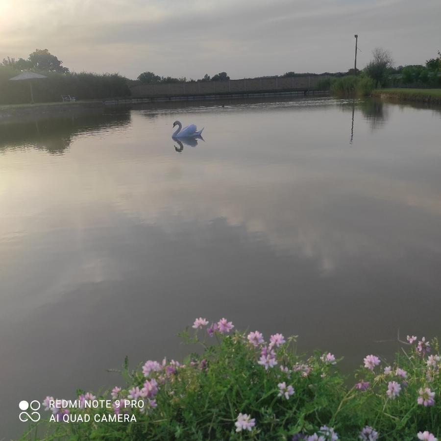 Jezero Apartment *