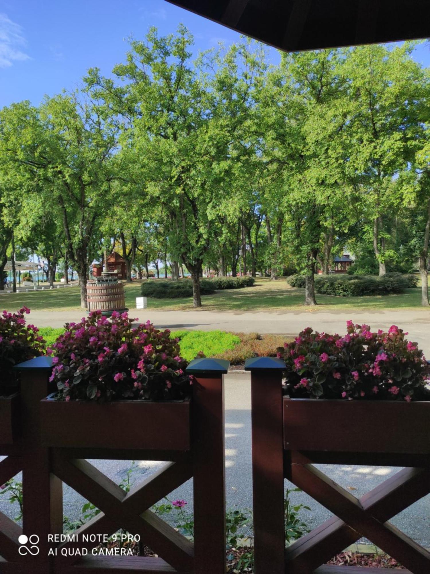 Jezero Palic