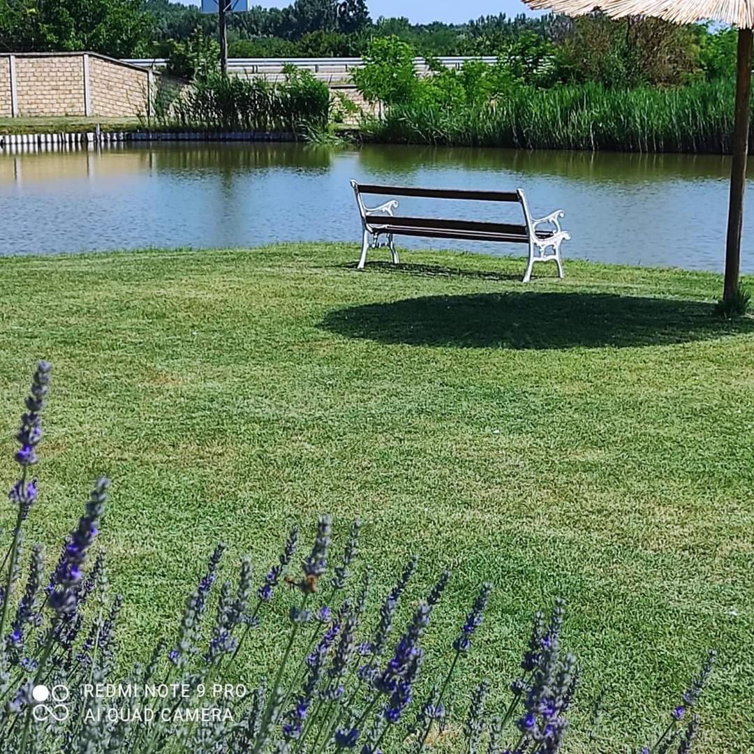 Jezero Apartment Palic